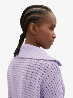 TOM TAILOR Denim Pulls Maille Fine Pull-over Femme Violet Clair -Soldes TOM TAILOR Denim 2023 18bf377104206ed6a97b3c81de468a6d scaled
